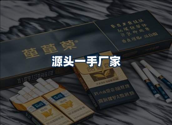 专业团队办公环境